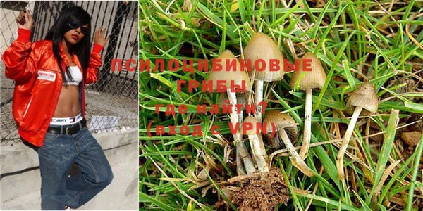 MESCALINE Балахна