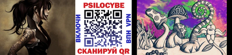 Купить закладки  Гусев  Псилоцибиновые грибы прущие грибы 